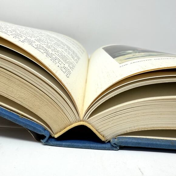 Picasso: The Blue and Rose Periods By Pierre Daix and Georges Boudaille Art Book - Picture 13 of 13